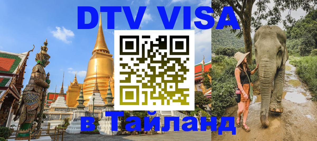 Оформление DTV визы под ключ: стоимость и тарифы, только загранпаспорт - 